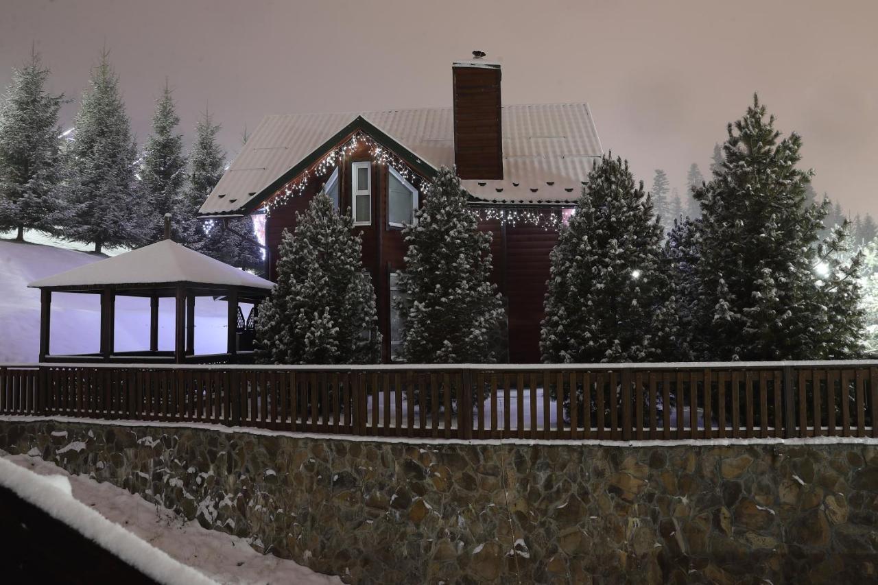 Bukovel Hotel Hotel 3*